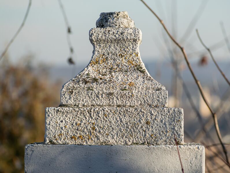Файл:Grave-of-schneider-ida-bentsionovna-jewish-cemetery-balti-republic-of-moldova-2021-11-21-2.jpg