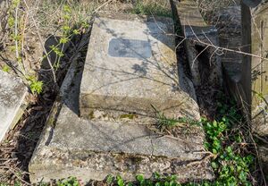 Grave-of-kanin-perl-balti-jewish-cemetery-2018-04-12-02.jpg