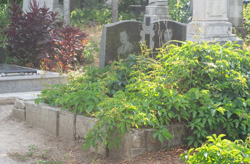 Файл:Grave-of-maloman-family-armenian-cemetery-chisinau-moldova-2024-07-30-4.jpg