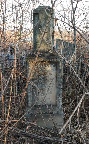 Grave-of-flom-genea-jewish-cemetery-balti-republic-of-moldova-2021-11-21-1.jpg