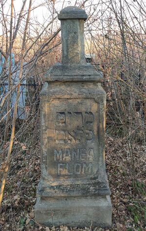 Grave-of-flom-manea-jewish-cemetery-balti-republic-of-moldova-2021-11-21-2.jpg