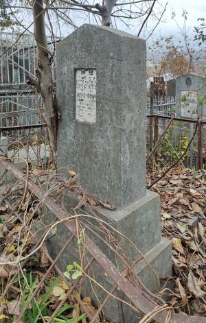 Grave-of-abramovich-shloyma-motelevich-balti-jewish-cemetery-republic-of-moldova-2024-11-09-3.jpg