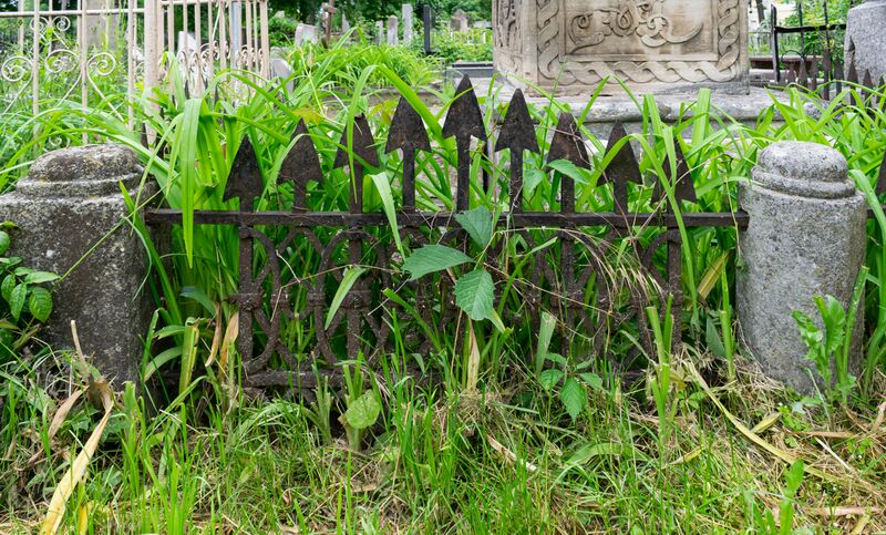Файл:Grave-of-karageorgevich-alexey-georgievich-chisinau-republic-of-moldova-2021-05-31-23.jpg