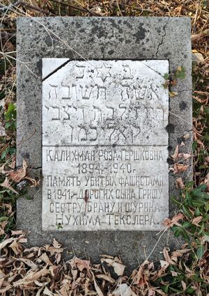 Grave-of-kalikhman-roza-gershkovna-jewish-cemetery-balti-republic-of-moldova-2021-11-21-1.jpg