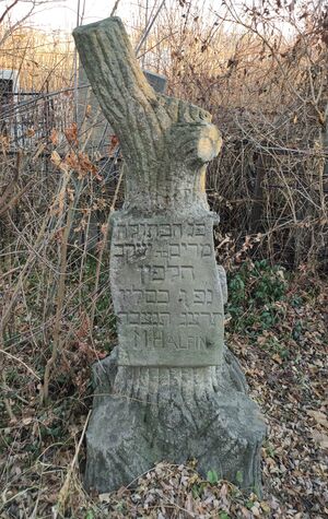 Grave-of-khafin-maryam-yakovlevna-jewish-cemetery-balti-republic-of-moldova-2021-11-21-1.jpg