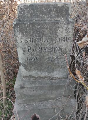 Grave-of-rozenbaum-rozalia-naumovna-jewish-cmetery-balti-republic-of-moldova-2021-11-21-6.jpg