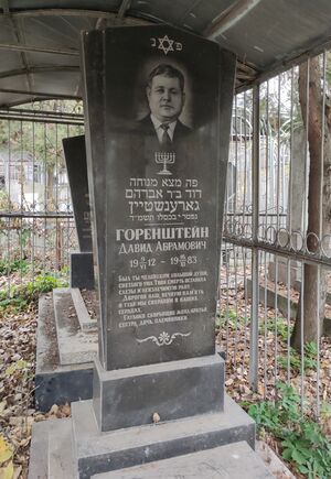 Grave-of-gorenshtein-david-abramovich-jewish-cemetery-balti-republic-of-moldova-2024-11-09-1.jpg