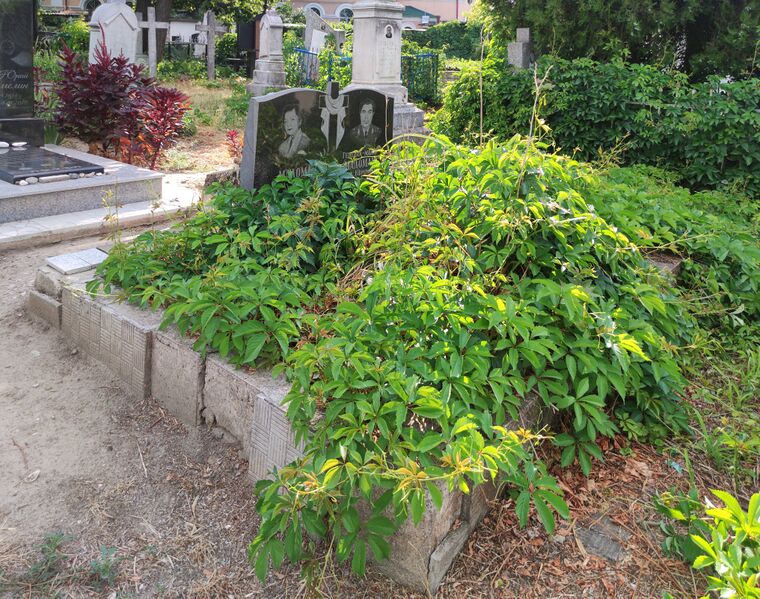 Файл:Grave-of-maloman-family-armenian-cemetery-chisinau-moldova-2024-07-30-3.jpg