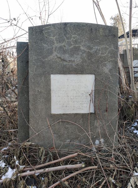 Файл:Grave-of-avadaney-tunya-moiseevna-jewish-cemetery-balti-republic-of-moldova-2024-12-14-1.jpg