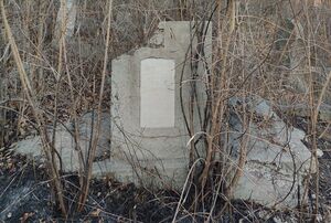 Grave-of-palatnik-feyga-jewish-cmetery-balti-republic-of-moldova-2021-11-21-2.jpg