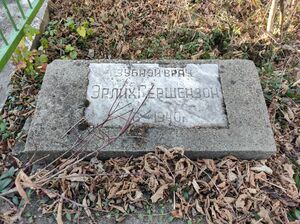 Grave-of-gershenzon-erlikh-jewish-cemetery-balti-republic-of-moldova-2021-11-21-1.jpg