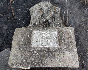 Grave-of-grinshpun-odusya-jewish-cemetery-balti-republic-of-moldova-2021-11-21-7.jpg