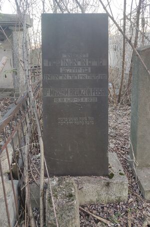 Grave-of-mariam-aronzon-peisah-jewish-cmetery-balti-republic-of-moldova-2024-12-22-1.jpg